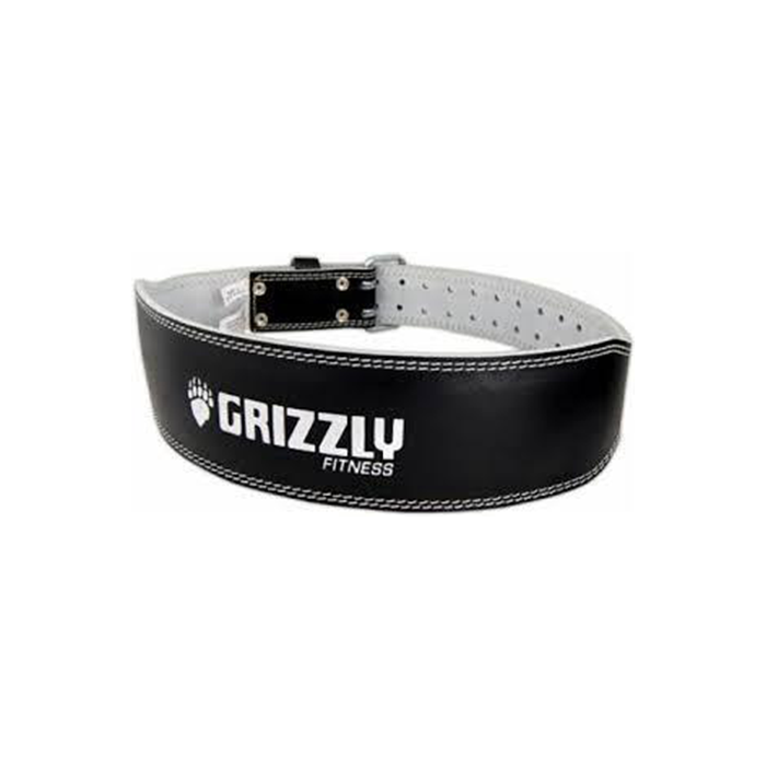 GRIZZLY TRAINING AND LIFTING BELT